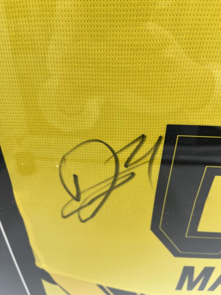 Borussia Dortmund Trikot Donyell Malen signiert im Rahmen Puma BVB