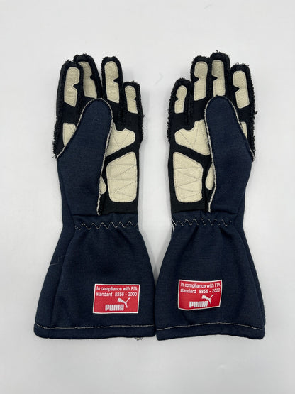 Nico Rosberg original getragene Fahrerhandschuhe Williams Formel 1