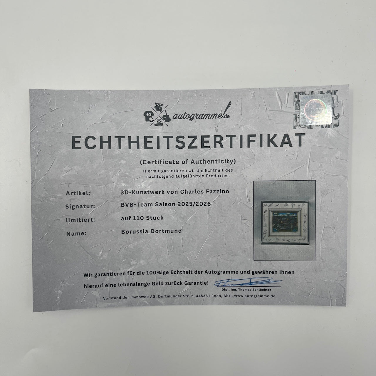 Charles Fazzino 3-D "Borussia Dortmund" Kunstwerk Teamsigniert BVB im Rahmen