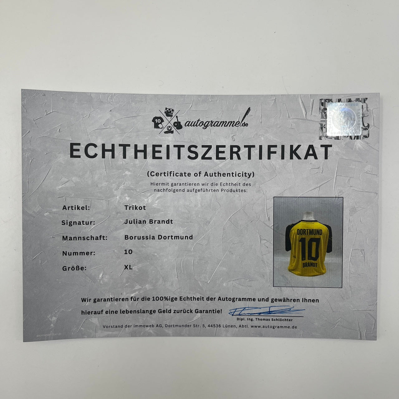 Borussia Dortmund Trikot signiert Julian Brandt BVB Puma Autogramm XL