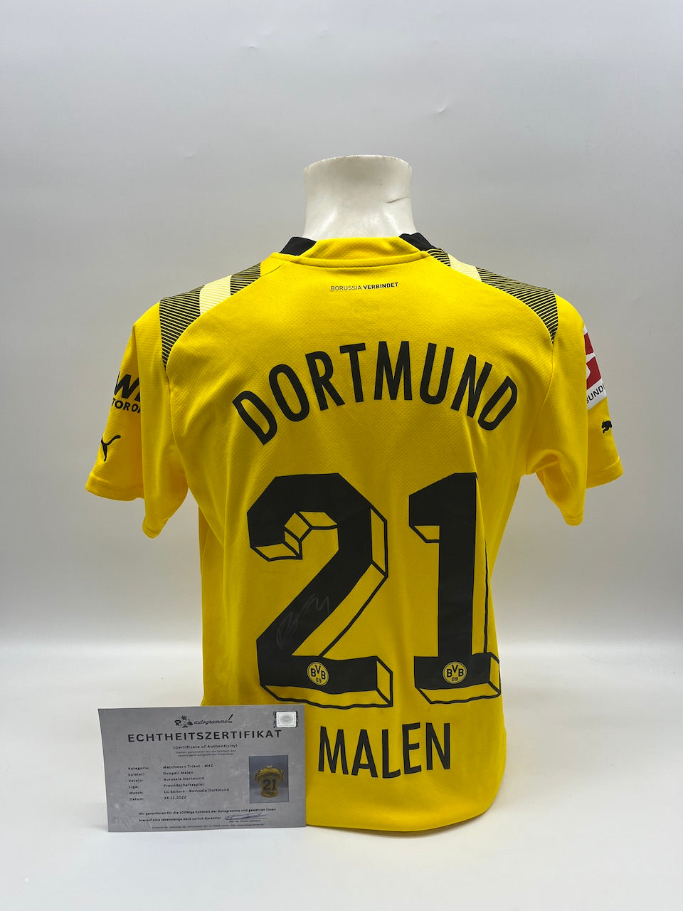 Matchworn Dortmund Worn & Signed by Donyell painting 24.11.2022
