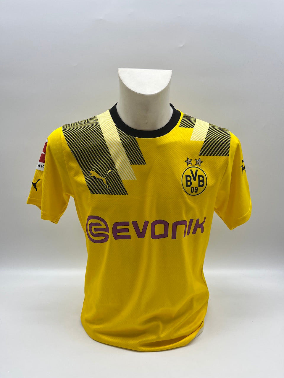 Matchworn Dortmund Worn & Signed by Donyell painting 24.11.2022