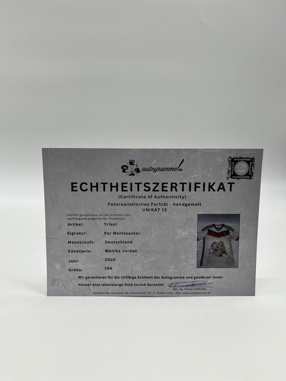 DFB jersey portrait by Mertesacker hand painted and signed in the frame 164