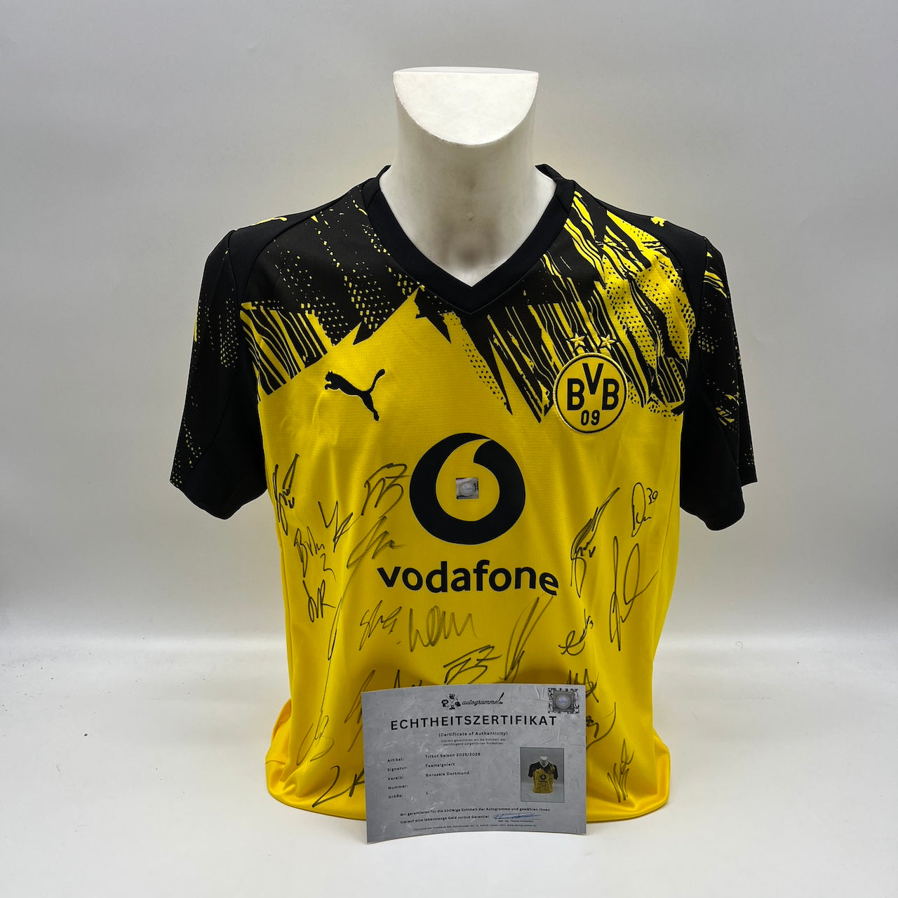 BVB Trikot 2025/2026 Teamsigniert Borussia Dortmund Puma L