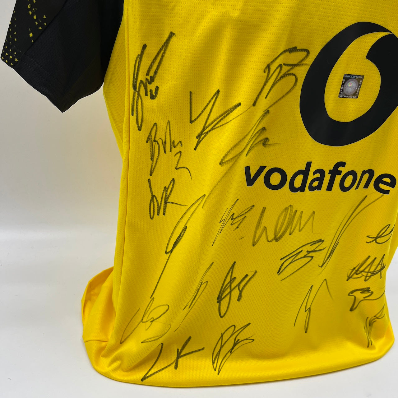 BVB Trikot 2025/2026 Teamsigniert Borussia Dortmund Puma L