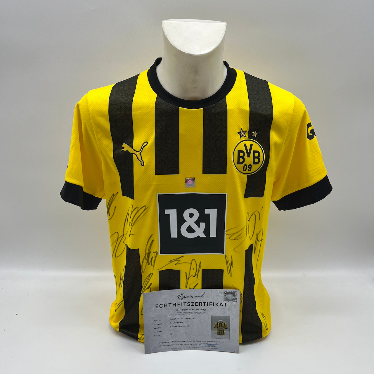 BVB Trikot 2022/2023 Teamsigniert Borussia Dortmund COA Puma Bellingham M