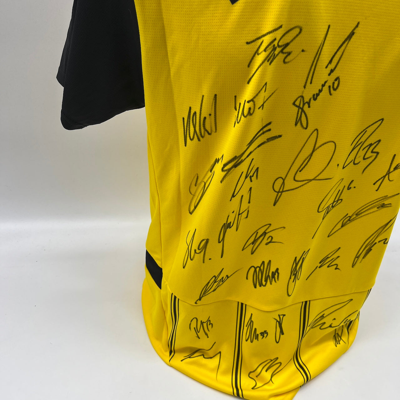 BVB Trikot 2024/2025 Teamsigniert Borussia Dortmund COA Puma neu M