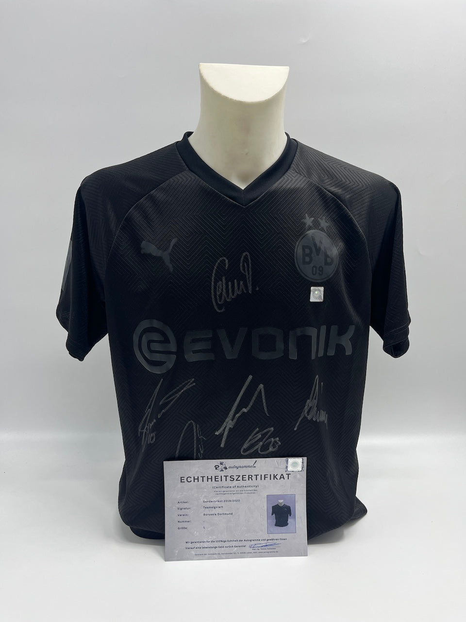 BVB special jersey 2019/2020 team signed Borussia Dortmund Coa Puma L