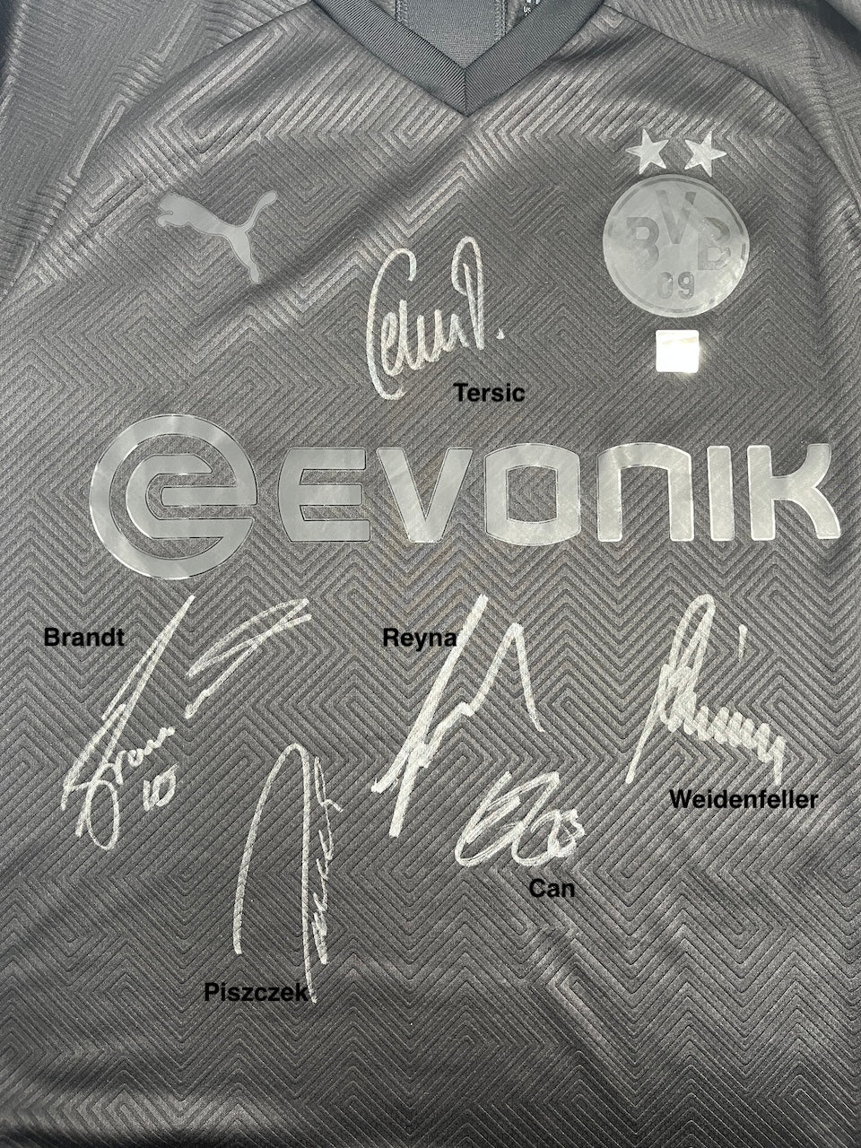BVB special jersey 2019/2020 team signed Borussia Dortmund Coa Puma L