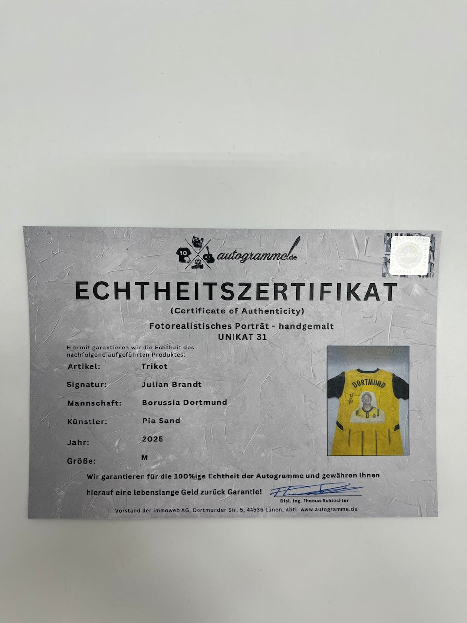 Borussia Dortmund jersey portrait Julian Brandt hand painted and signed Puma M