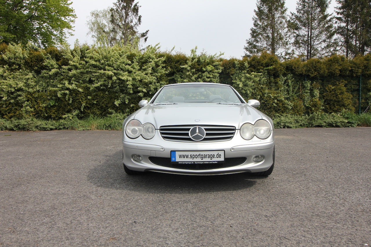 Donatella Versace Mercedes-Benz 500 SL silver