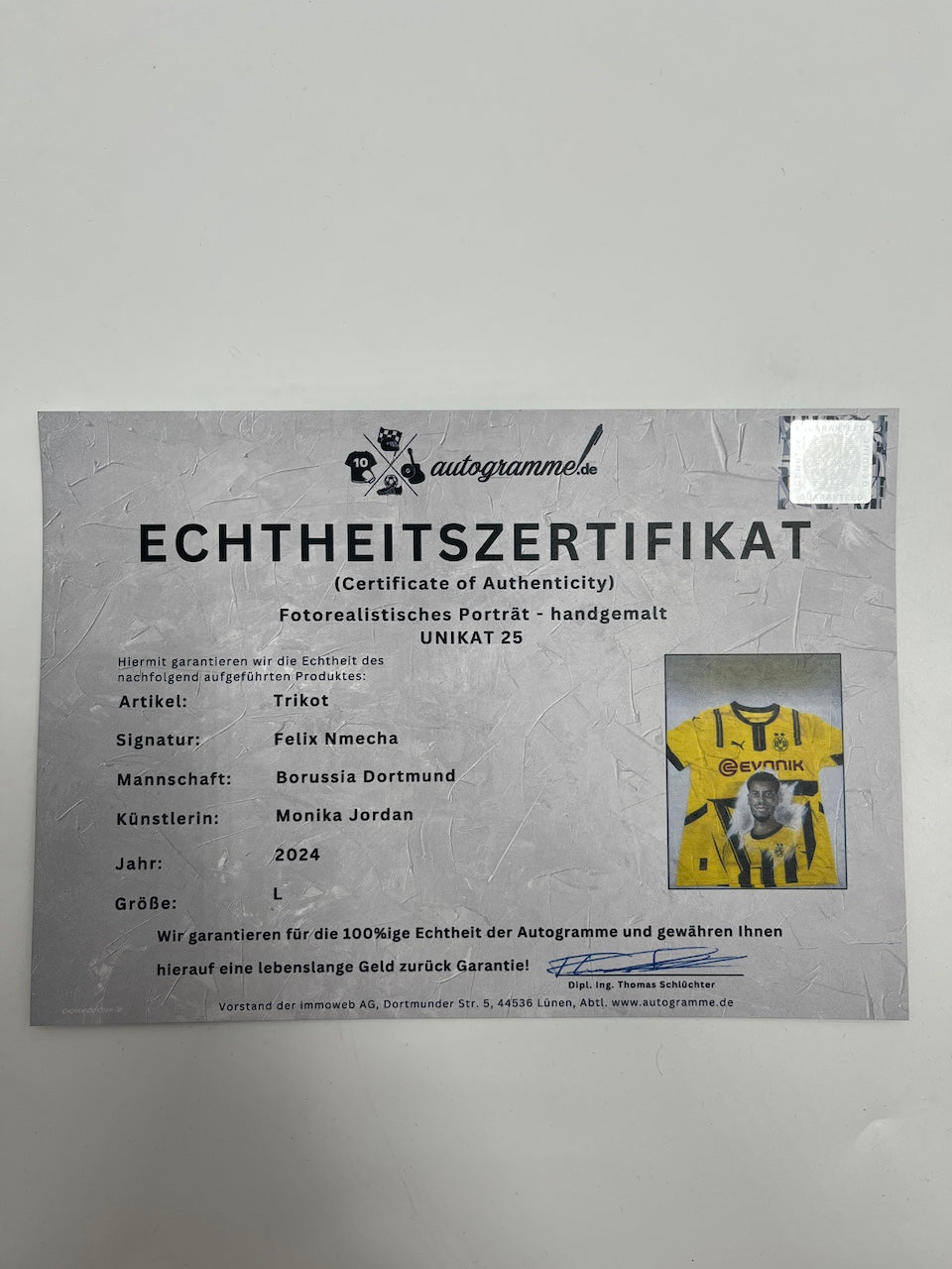 BVB jersey portrait felix nmecha hand painted puma l