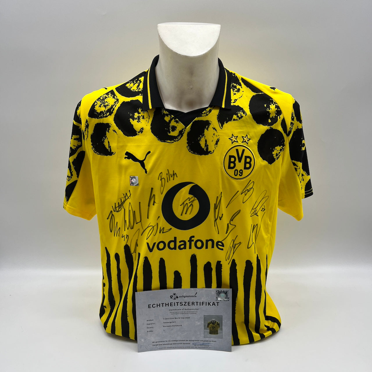BVB Trikot 2025 Teamsigniert Borussia Dortmund Puma L