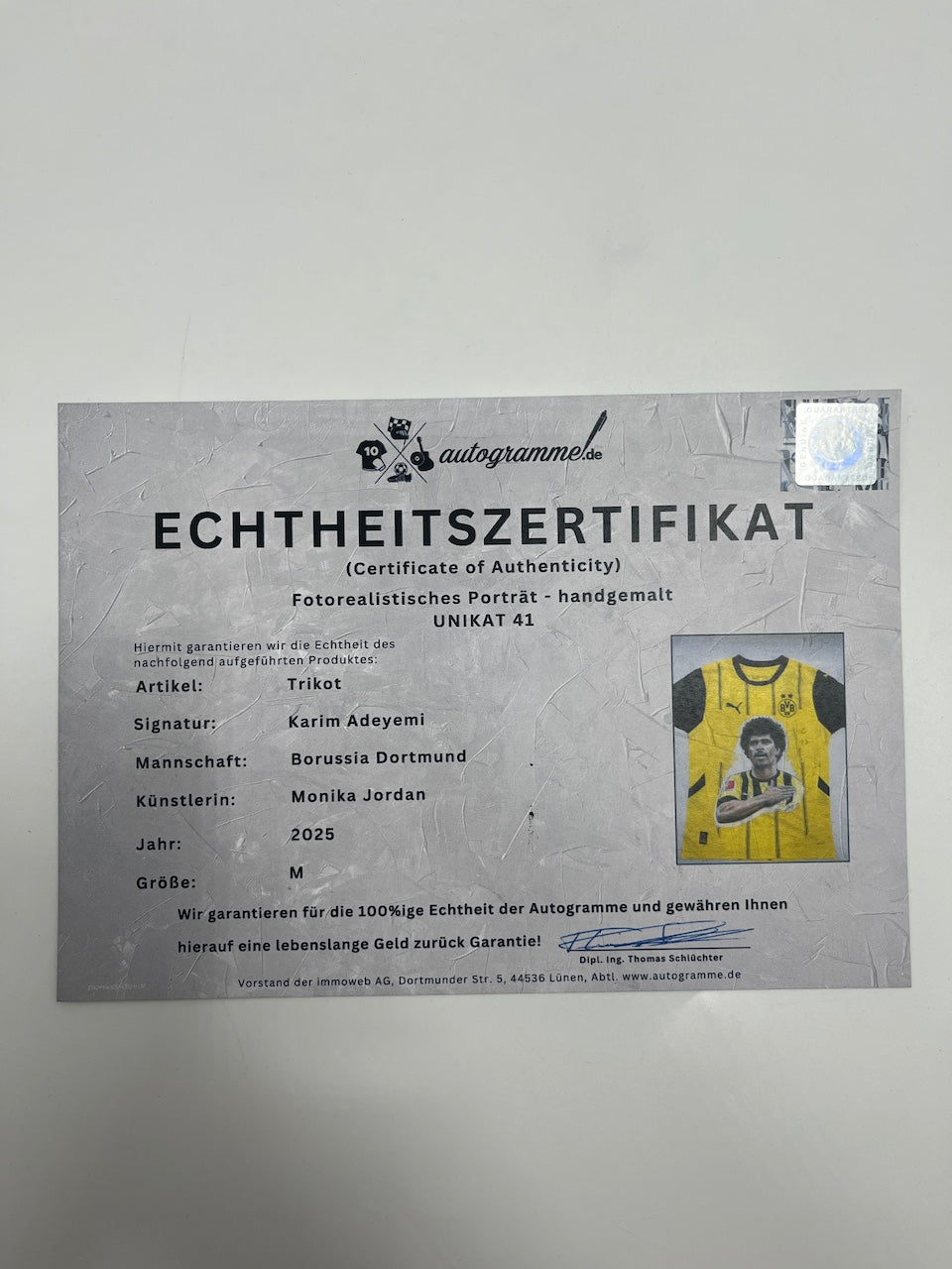 Borussia Dortmund jersey portrait karim adeyemi hand painted bvb puma m