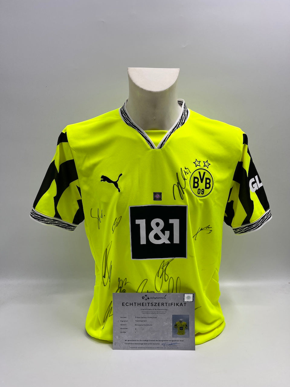 BVB Special Edition Jersey 2025 Team Signed Borussia Dortmund COA Puma Autograph L