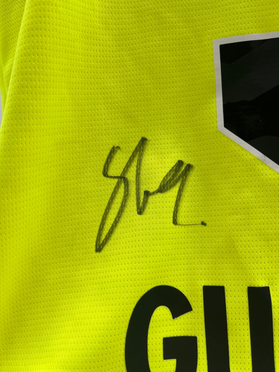 BVB Special Edition Jersey 2025 Team Signed Borussia Dortmund COA Puma Autograph L