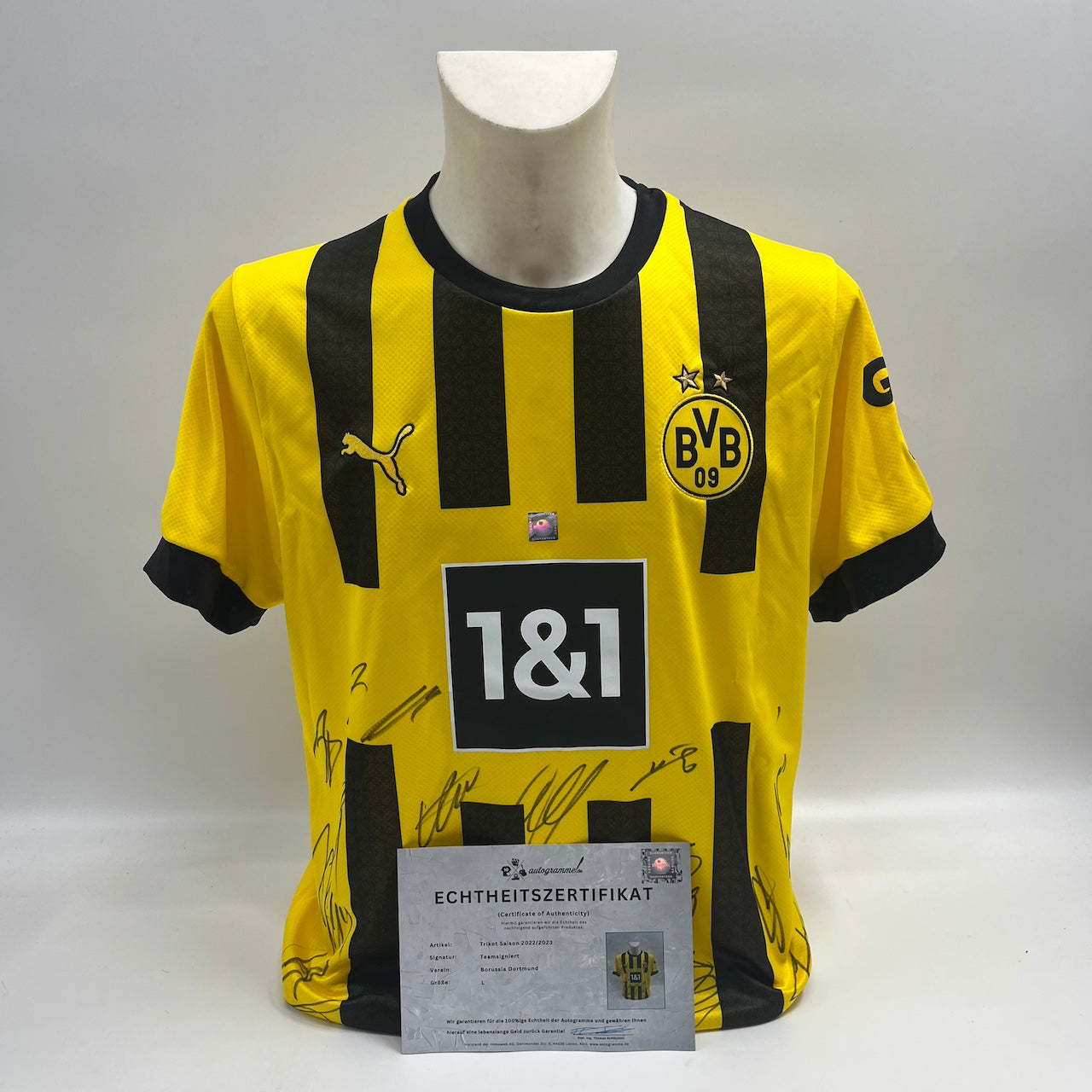 BVB Trikot 2022/2023 Teamsigniert Borussia Dortmund COA Puma Bellingham L