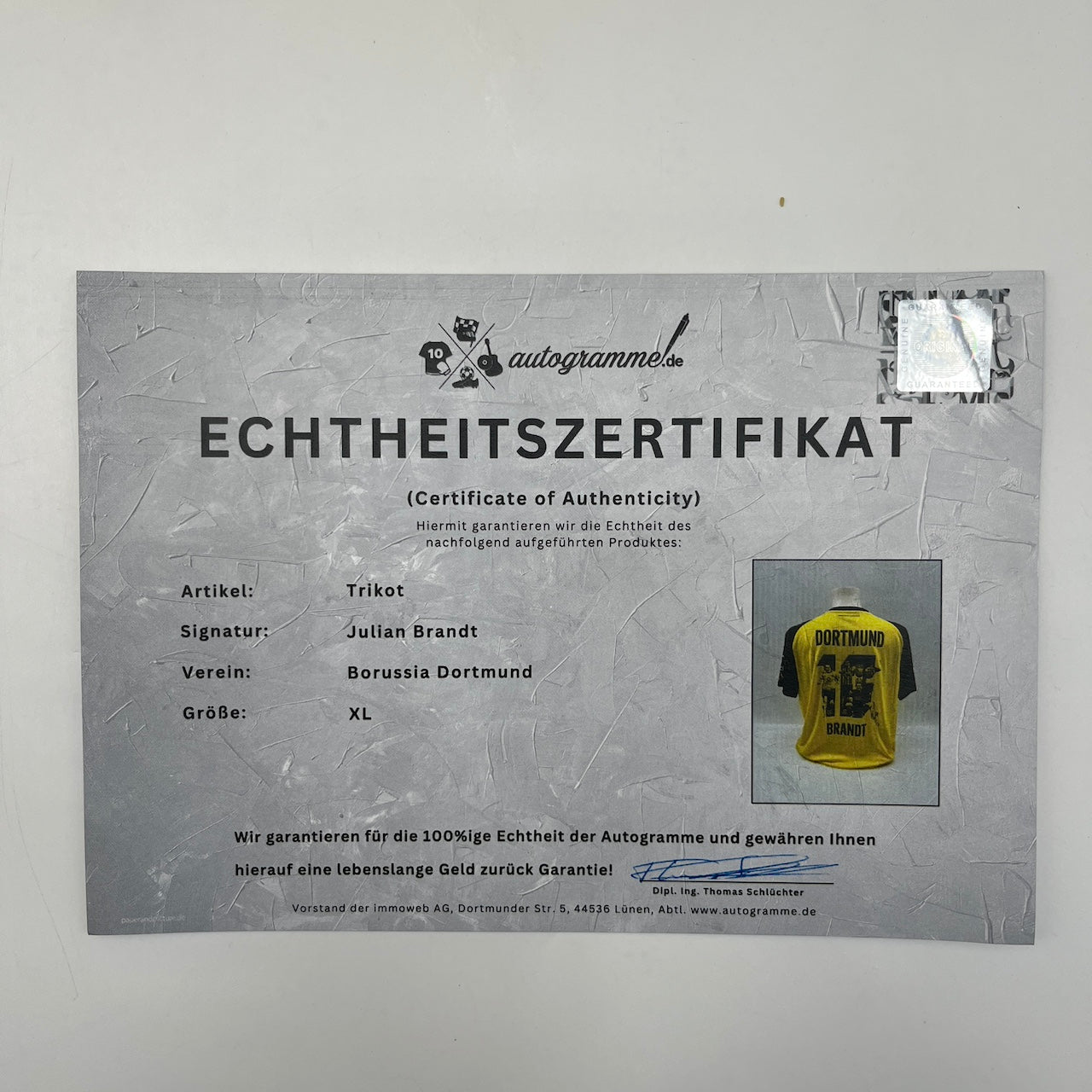 Borussia Dortmund Trikot signiert Julian Brandt BVB Puma Autogramm XL neu