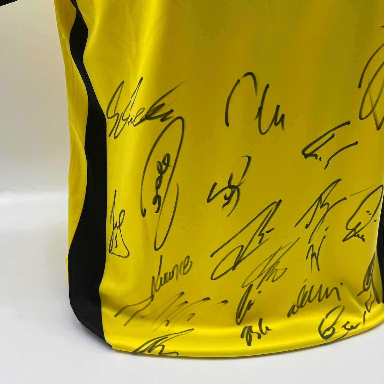 BVB Trikot 2009/2010 Teamsigniert Borussia Dortmund Kappa M