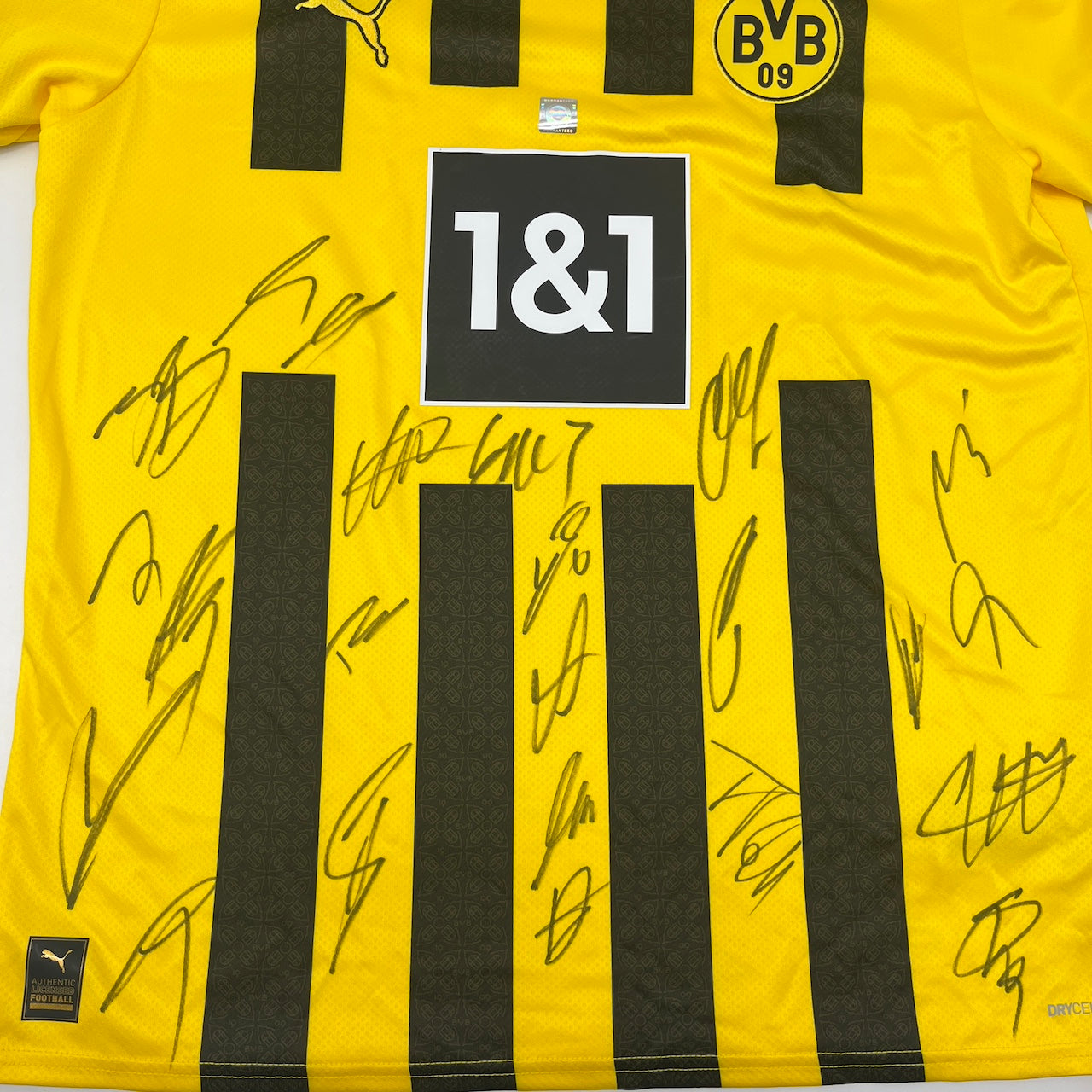 BVB Trikot 2022/2023 Teamsigniert Borussia Dortmund COA Puma L
