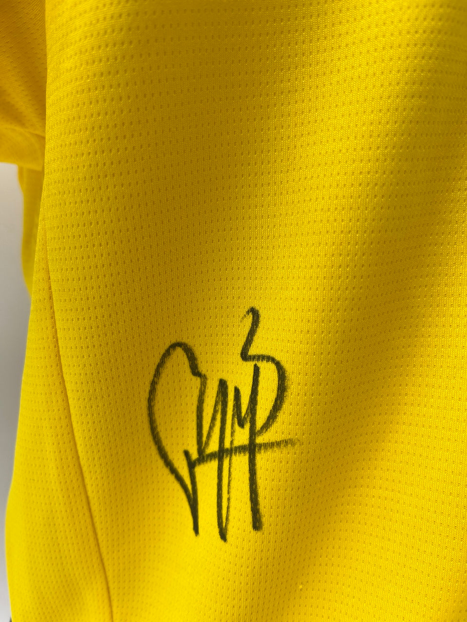 Borussia Dortmund jersey signed by Pascal Groß, autographed, Puma, new, size L