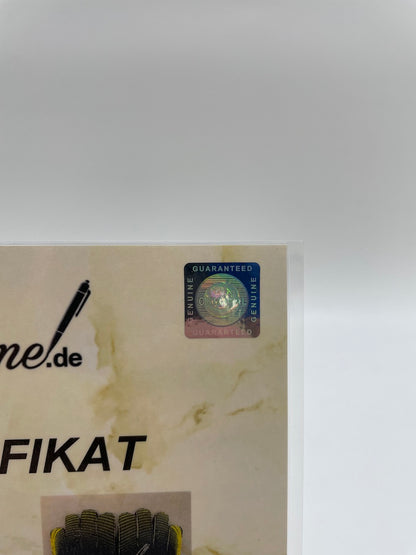 Goalkeeper glove Pavao Pervan signed autograph Wolfsburg Coa