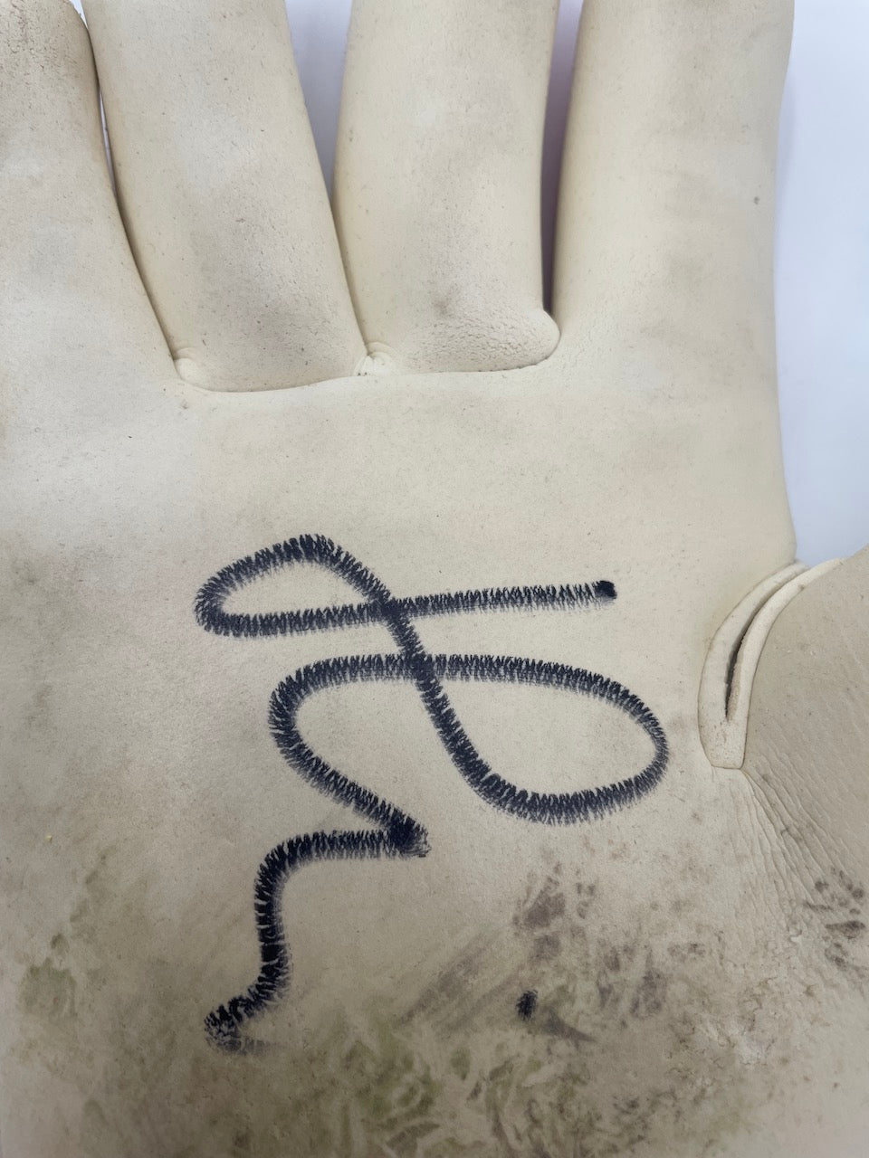 Goalkeeper gloves Marvin Hitz worn + signed autograph Dortmund Matchworn