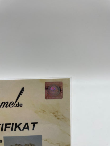 Goalkeeper gloves Marvin Hitz worn + signed autograph dortmund matchworn