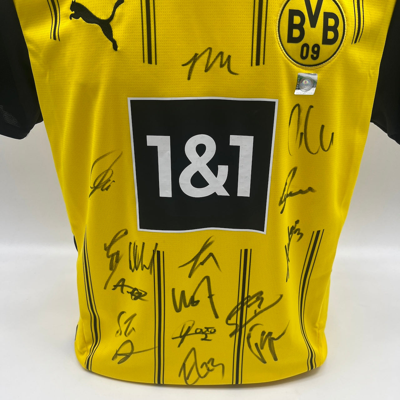 BVB Trikot 2024/2025 Teamsigniert Borussia Dortmund Puma M