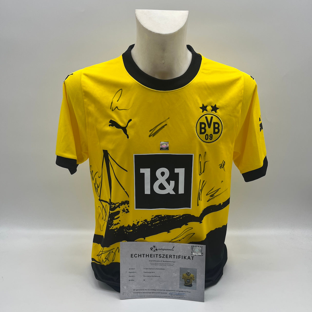 BVB Trikot 2023/2024 Teamsigniert Borussia Dortmund Puma M