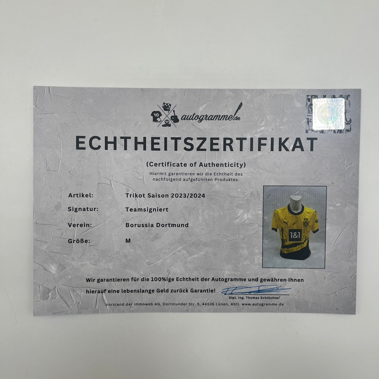 BVB Trikot 2023/2024 Teamsigniert Borussia Dortmund Puma M