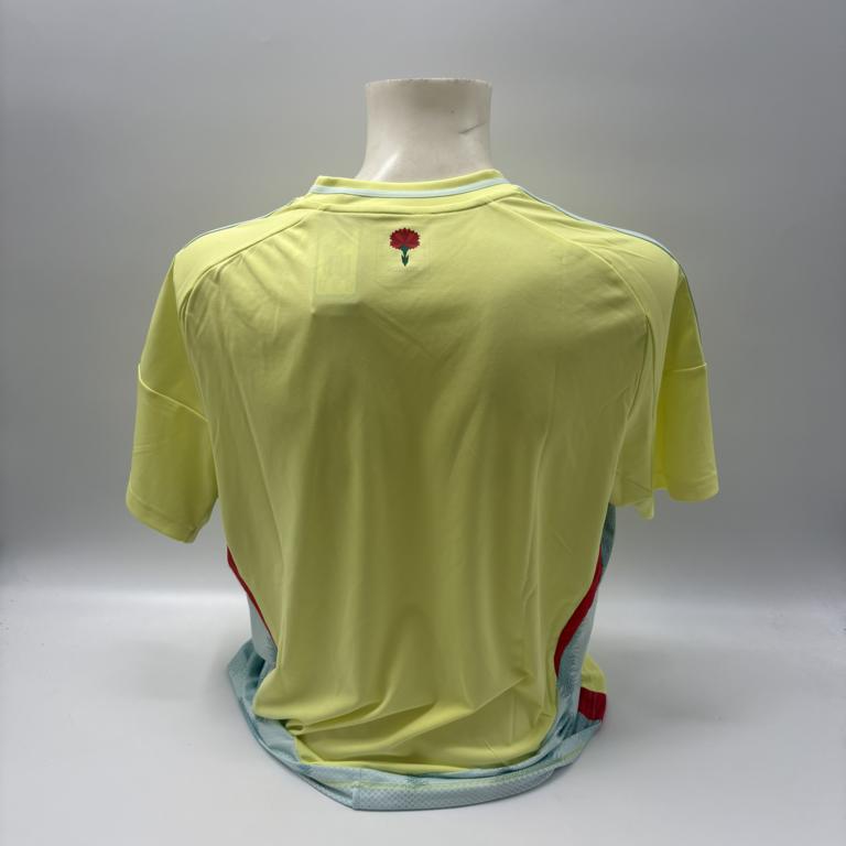 Spanien Trikot Fernando Torres signiert Adidas COA Autogramm XL