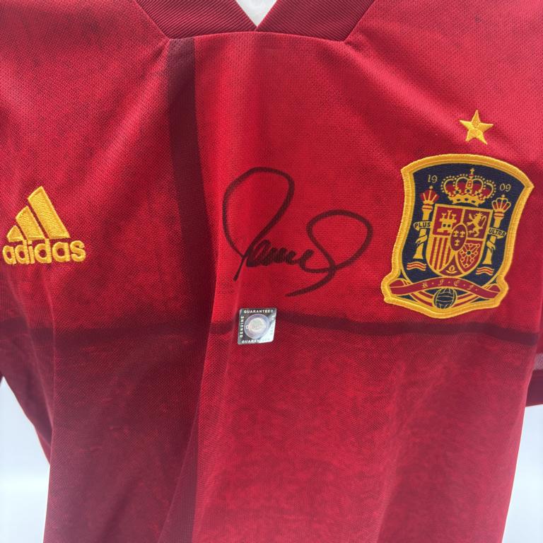 Spanien Trikot Fernando Torres signiert Adidas COA Autogramm XL
