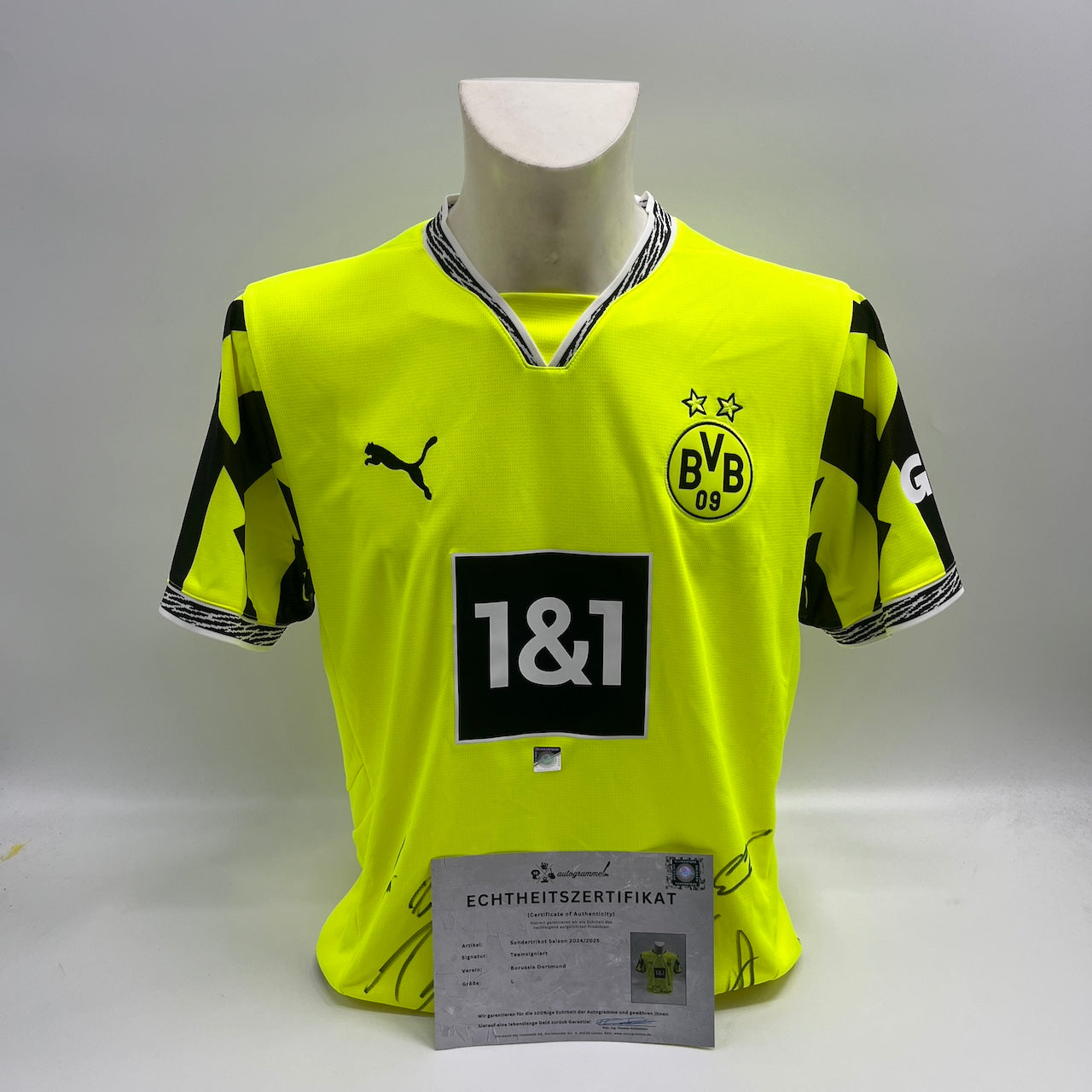 BVB Sondertrikot 2024/2025 Teamsigniert Borussia Dortmund Puma L
