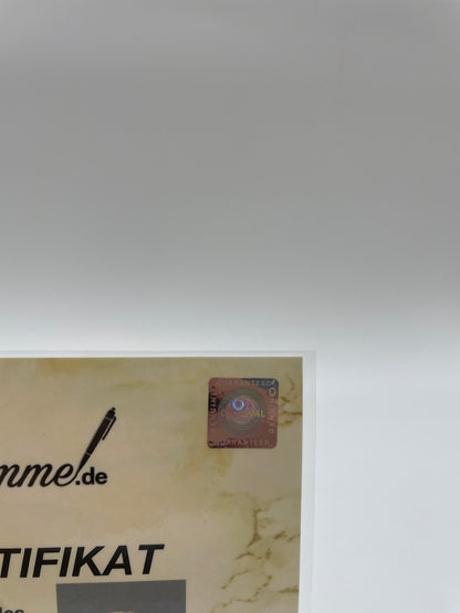 FC Bayern Football team signed 1988/1989 Signature of autograph Puma Ball