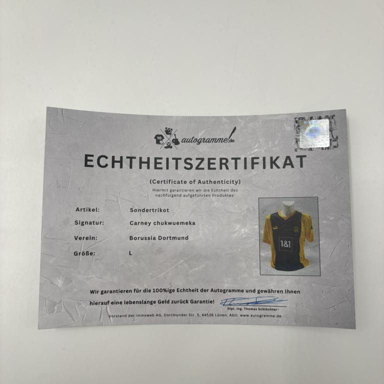 Borussia Dortmund Sondertrikot Carney Chuckwuemeka signiert Autogramm Puma BVB L