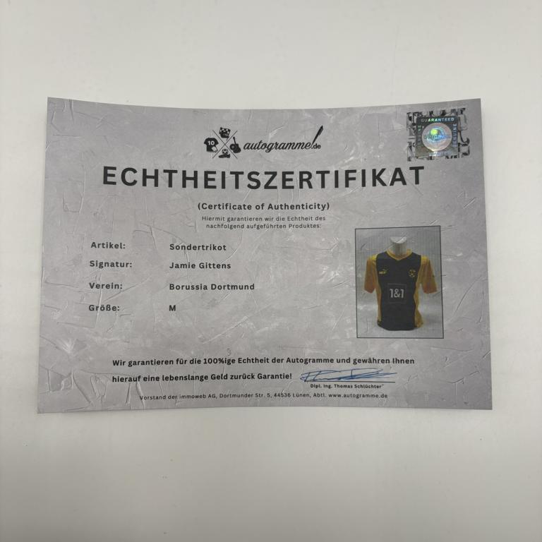 Borussia Dortmund Sondertrikot Pascal Groß signiert Autogramm Puma BVB XL