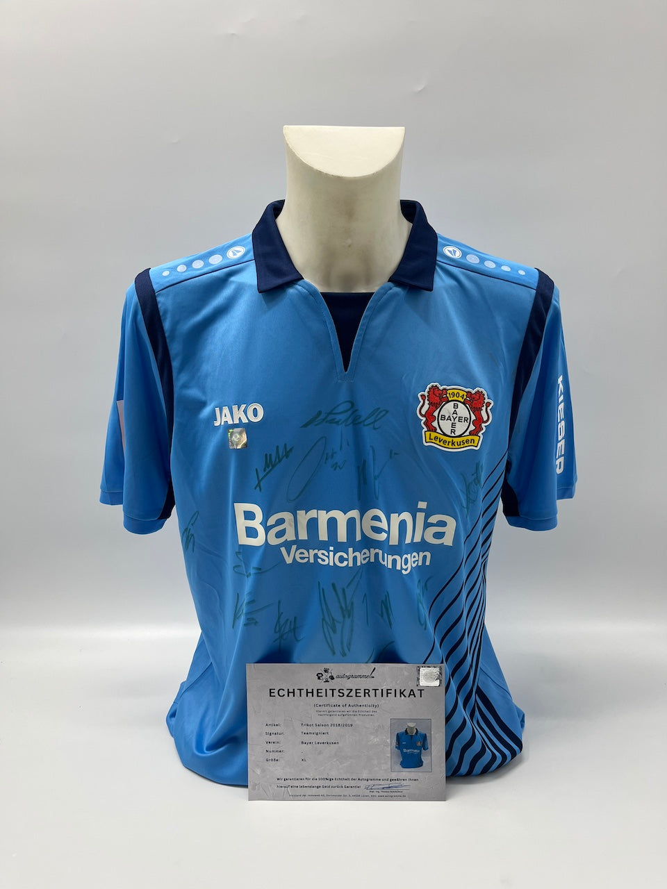Bayer Leverkusen jersey 2018/2019, team signed, autographed, COA, Jako XL