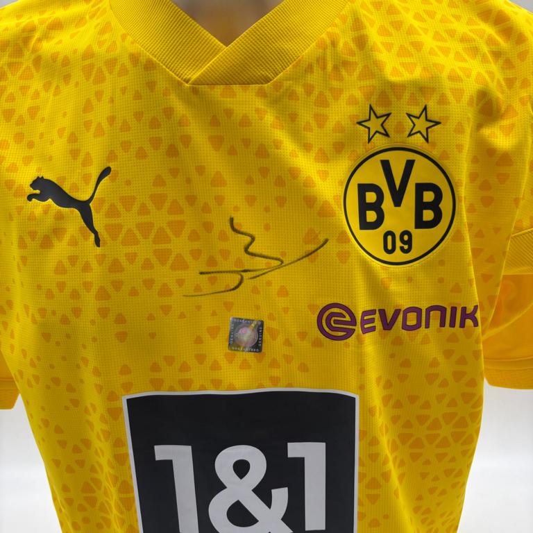 Borussia Dortmund Trainingsshirt Alexander Meyer signiert Puma COA  Autogramm L