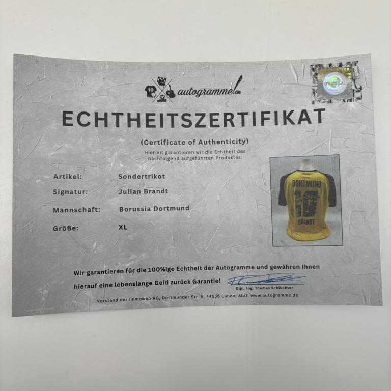 Borussia Dortmund Sondertrikot Julian Brandt signiert Autogramm Puma BVB XL