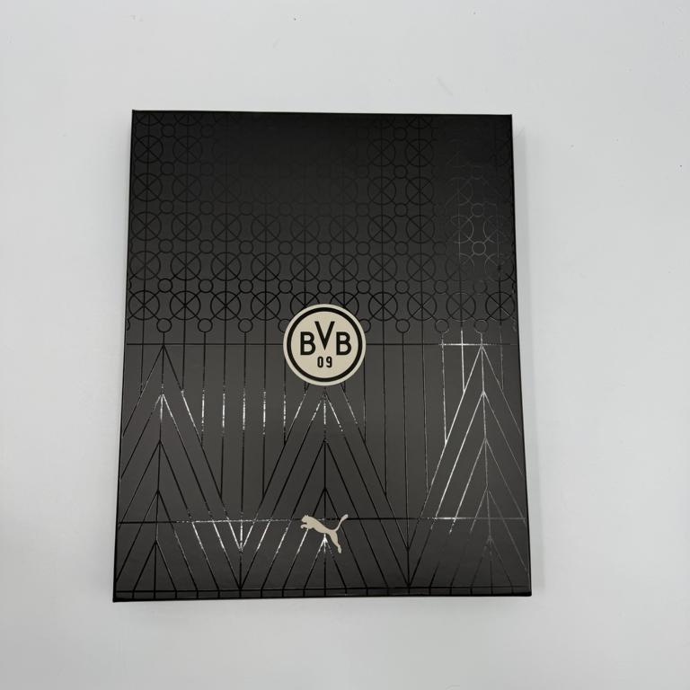 Borussia Dortmund Sondertrikot signiert Julian Brandt BVB Puma Autogramm L