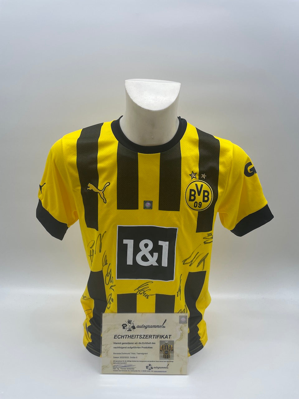 BVB Trikot 2022/2023 Teamsigniert Borussia Dortmund Bundesliga COA Puma S