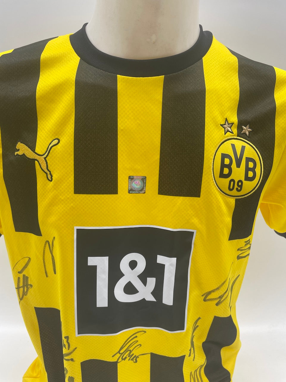 BVB Trikot 2022/2023 Teamsigniert Borussia Dortmund Bundesliga COA Puma S