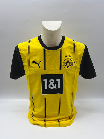 Borussia Dortmund Authentic Jersey Maximilian Beier signed BVB Puma M
