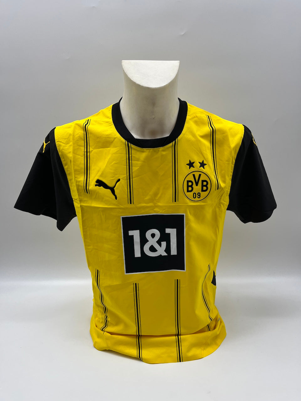 Borussia Dortmund Authentic Trikot Maximilian Beier signiert BVB Puma neu M