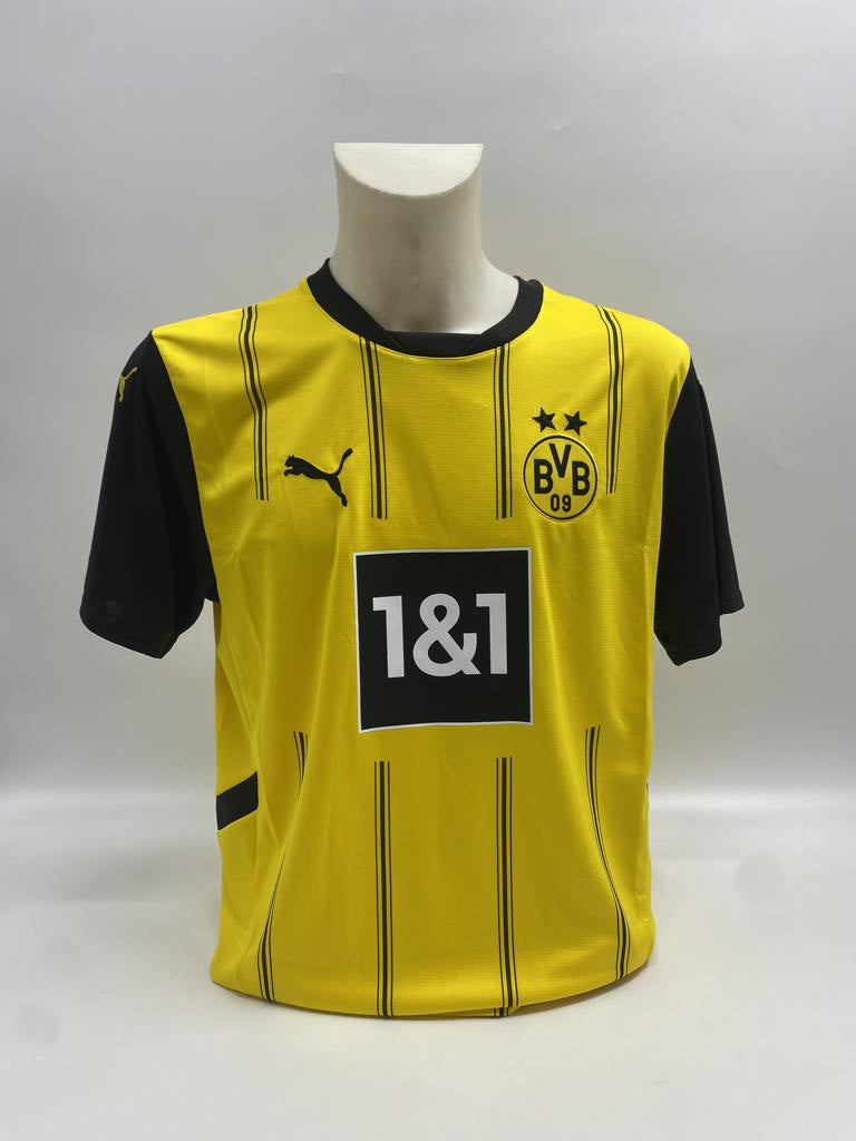 Borussia Dortmund jersey signed by Pascal Groß, Puma COA, autographed, size L