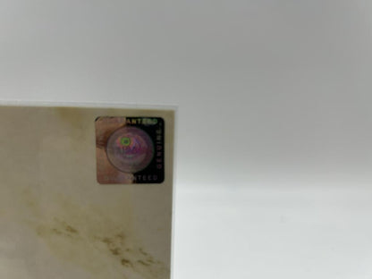 Football shoe Mike Hanke signed football Hannover 96 Borussia Mönchengladbach