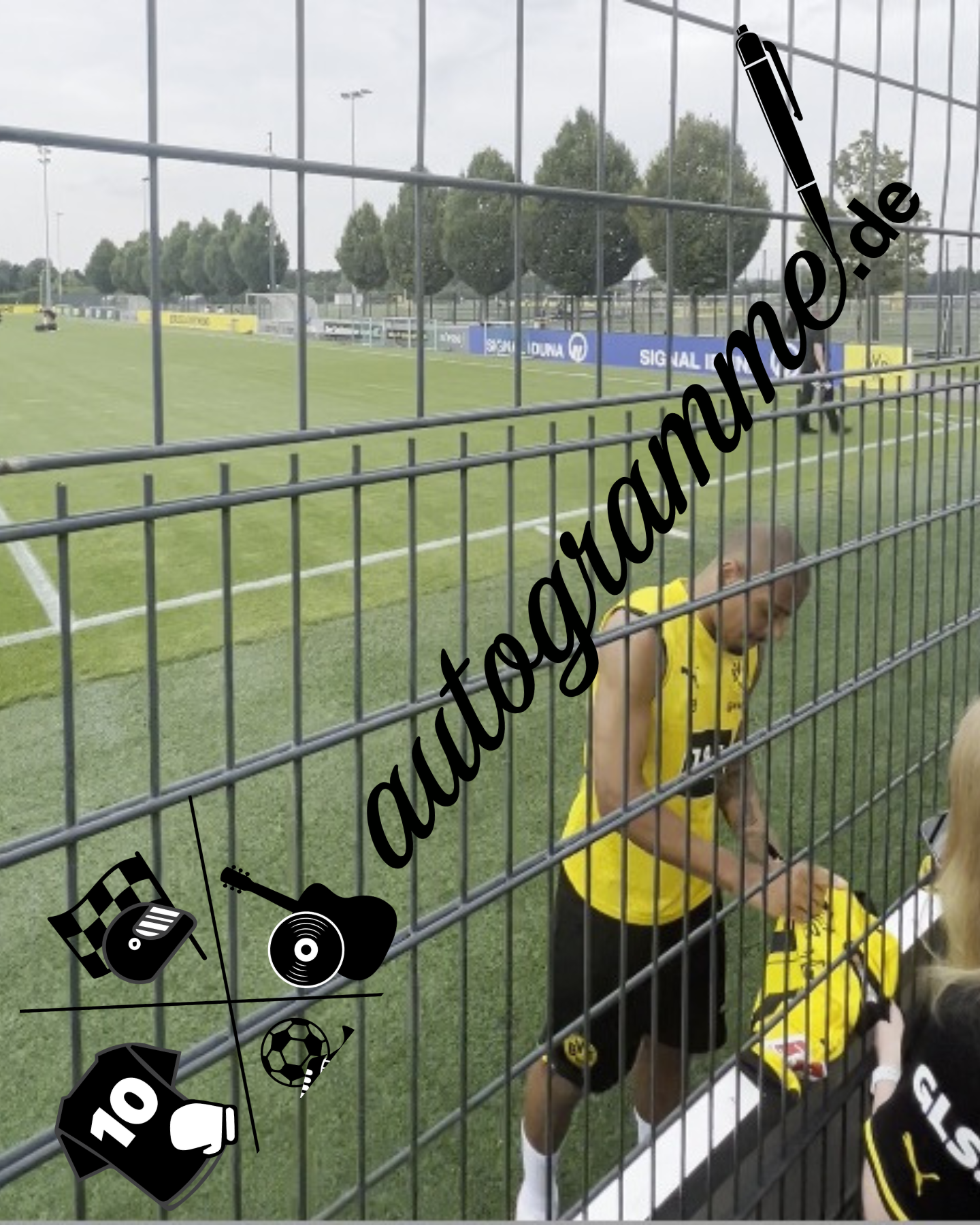 Borussia Dortmund Trikot Donyell Malen signiert BVB Puma M