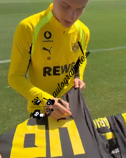 Borussia Dortmund Trikot Luca Reggiani COA BVB Puma neu S 26/27