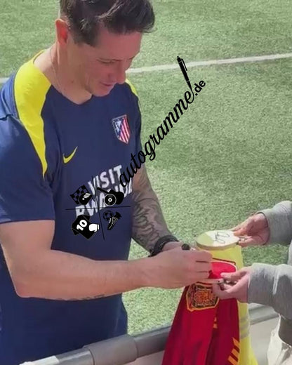Spanien Trikot Fernando Torres signiert Adidas COA Autogramm XL